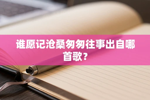 谁愿记沧桑匆匆往事出自哪首歌？