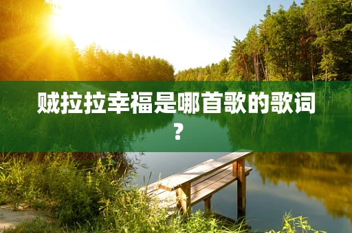贼拉拉幸福是哪首歌的歌词？