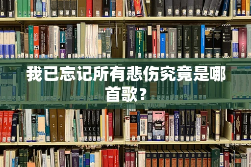我已忘记所有悲伤究竟是哪首歌？