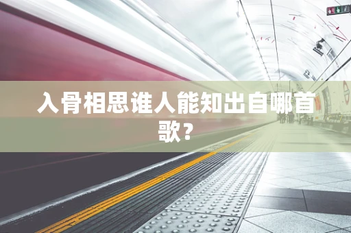 入骨相思谁人能知出自哪首歌？