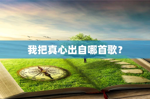 我把真心出自哪首歌？