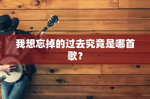 我想忘掉的过去究竟是哪首歌？