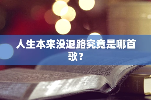人生本来没退路究竟是哪首歌？