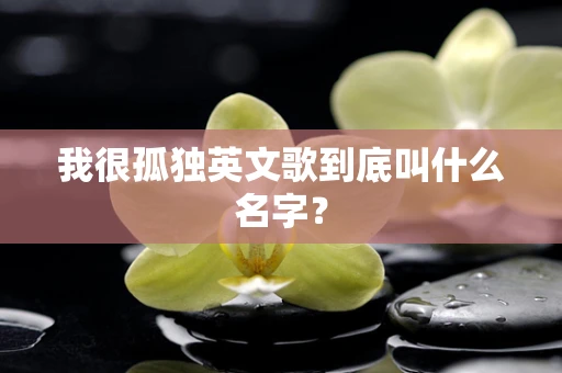 我很孤独英文歌到底叫什么名字？