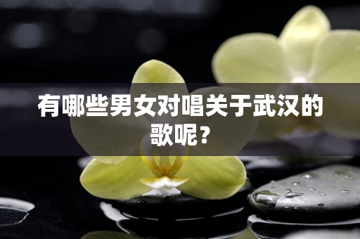 有哪些男女对唱关于武汉的歌呢？