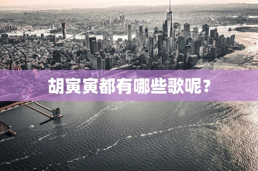 胡寅寅都有哪些歌呢？