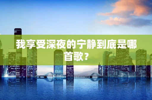 我享受深夜的宁静到底是哪首歌？