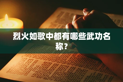 烈火如歌中都有哪些武功名称？