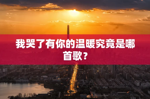 我哭了有你的温暖究竟是哪首歌？
