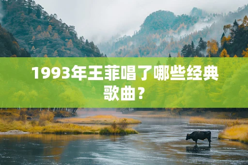 1993年王菲唱了哪些经典歌曲？