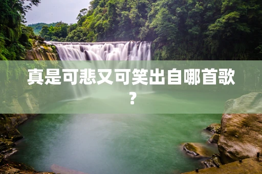 真是可悲又可笑出自哪首歌？