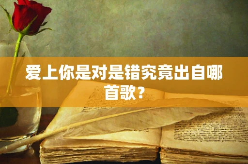 爱上你是对是错究竟出自哪首歌？