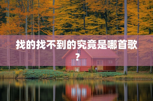 找的找不到的究竟是哪首歌？