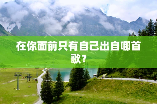 在你面前只有自己出自哪首歌？