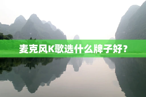麦克风K歌选什么牌子好？