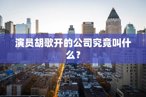 演员胡歌开的公司究竟叫什么？