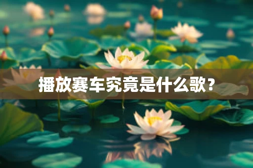 播放赛车究竟是什么歌？
