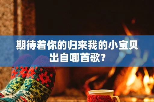 期待着你的归来我的小宝贝出自哪首歌？