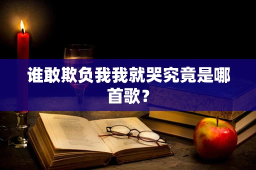 谁敢欺负我我就哭究竟是哪首歌？