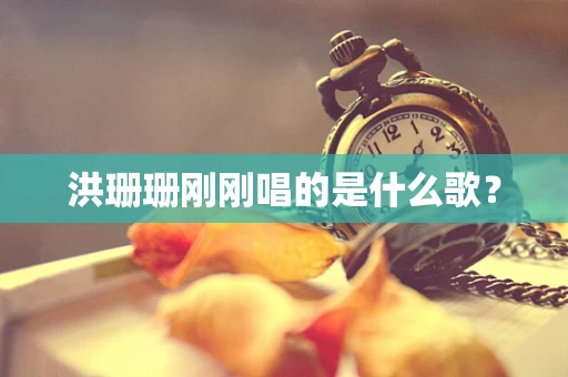 洪珊珊刚刚唱的是什么歌？