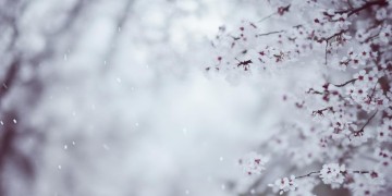 你给我放相思是哪首歌？
