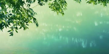 在湖畔与自然相遇究竟是哪首歌？