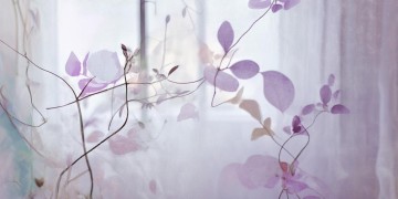 不是深爱就别结婚出自哪首歌？