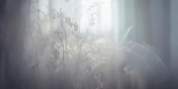 没想象的那么悲观究竟是哪首歌？