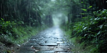 在冷雨中漫步究竟是哪首歌？
