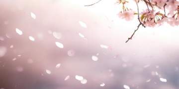 爱你是一种罪过吗出自哪首歌？