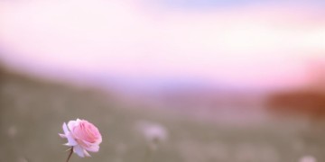 思念把我紧紧围绕究竟是哪首歌？