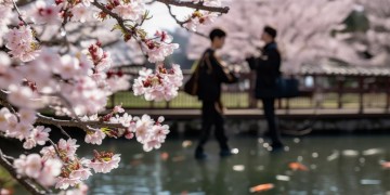 日本男女对唱的粤语歌究竟叫什么？