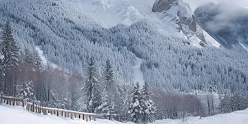 雪莲山下的雪莲出自哪首歌？