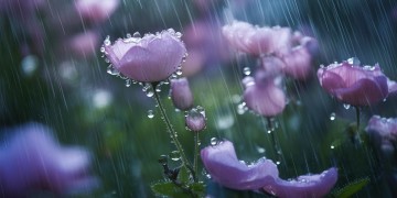 雨来到我的生命中究竟是哪首歌？