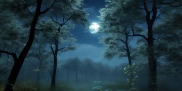 慢慢的夜学会沉默到底是什么歌？