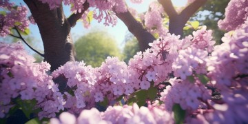 树上开满丁香花究竟出自哪首歌？