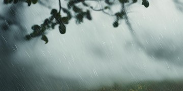 思念化成风化成雨究竟是哪首歌？