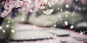 何必朝朝暮暮出自哪首歌？