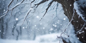 雪诉离歌究竟讲的是什么？