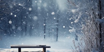 对雪的贪恋和执着出自哪首歌？