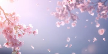 我曾经爱过你这句高潮歌词出自哪首歌？