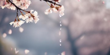 可惜我们辜负了自己出自哪首歌？