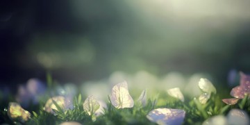绝不会来了出自哪首歌？