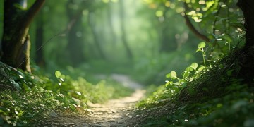 搜里啦后面是口哨的歌究竟是哪首？