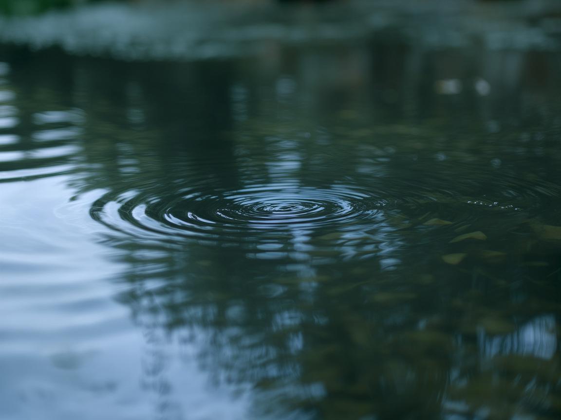 思念的泪在水里流究竟是哪首歌？